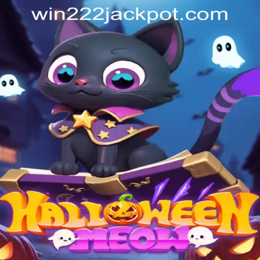 HalloweenMeow: Dive into the Spooky World of Feline Fun